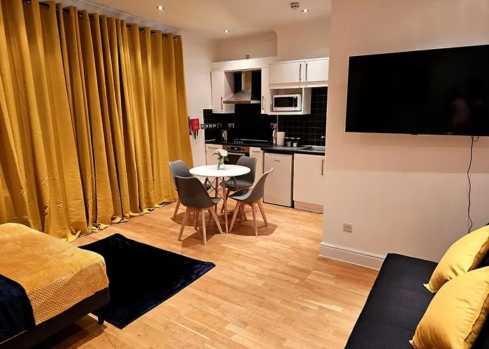 Elegant Spacious Studio Apartment In London